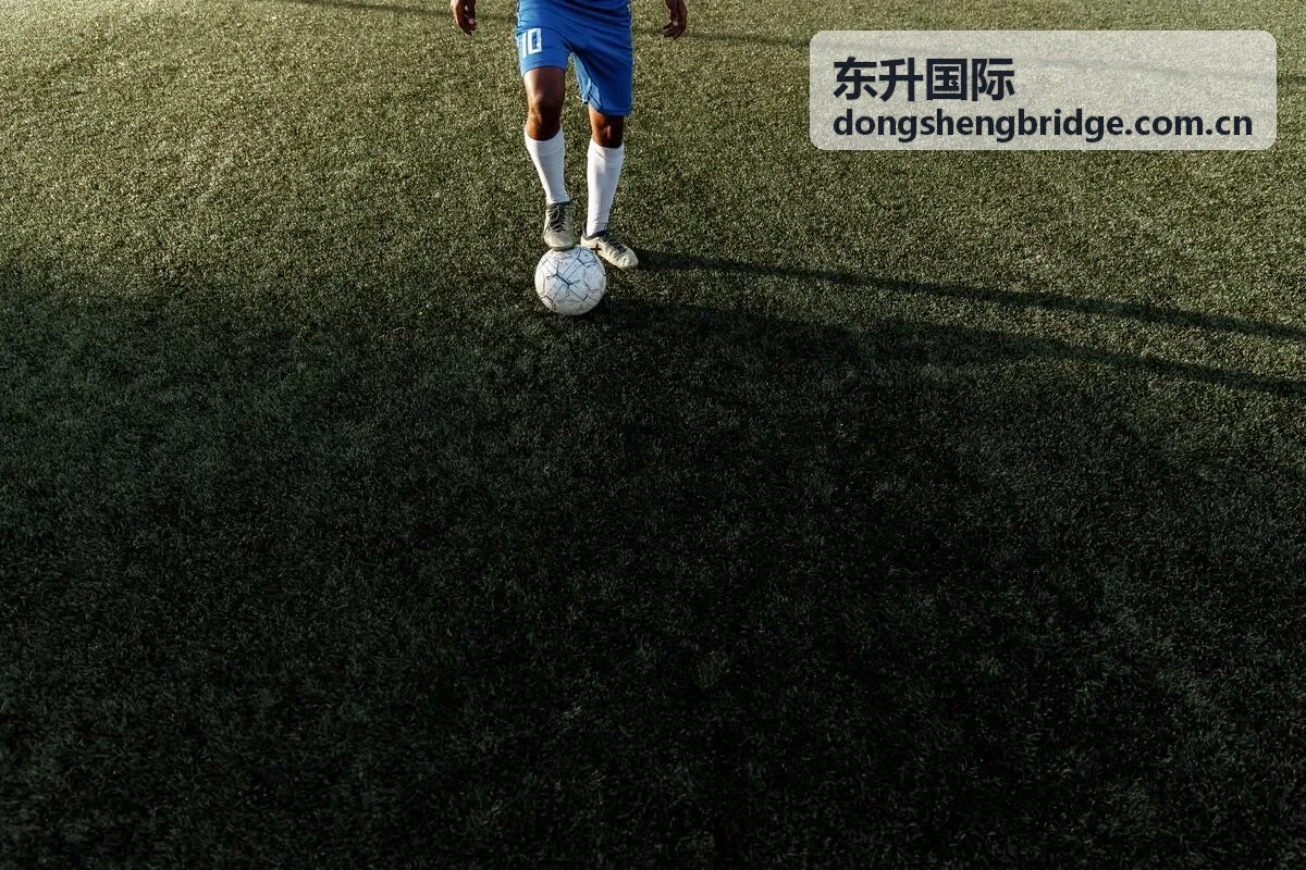 东升国际新用户活动礼遇